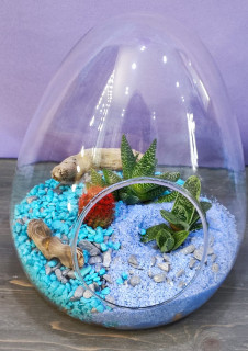 Голубой Флорариум