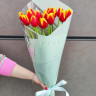 19 ярких тюльпанов