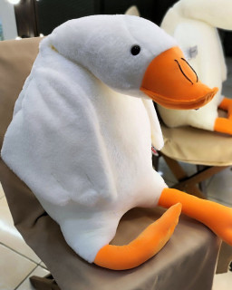 Гусь-обнимусь